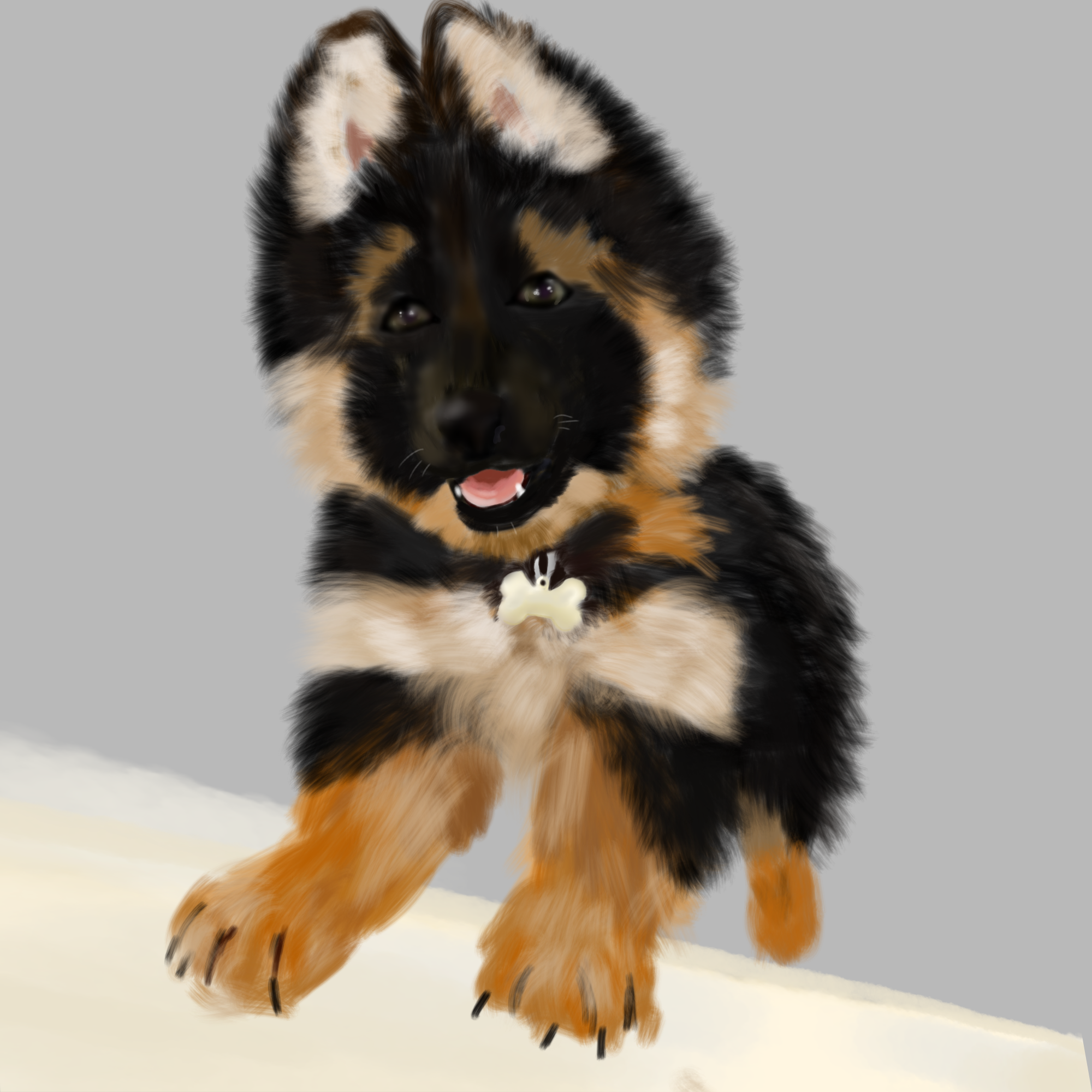 a pup🦴 - ibisPaint