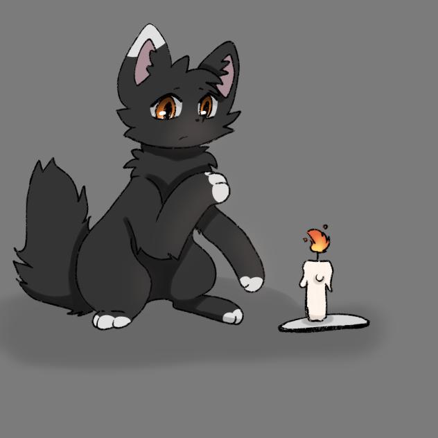 Cat and candle
