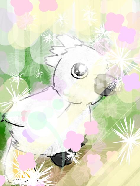 Fluffy Coco Guava NEW