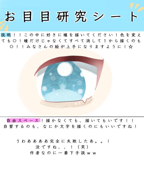 お目目研究シート！！2