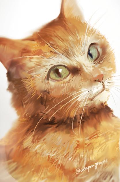 猫　色味調整版