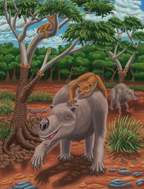 Thylacoleo Carnifex and Diprotodon