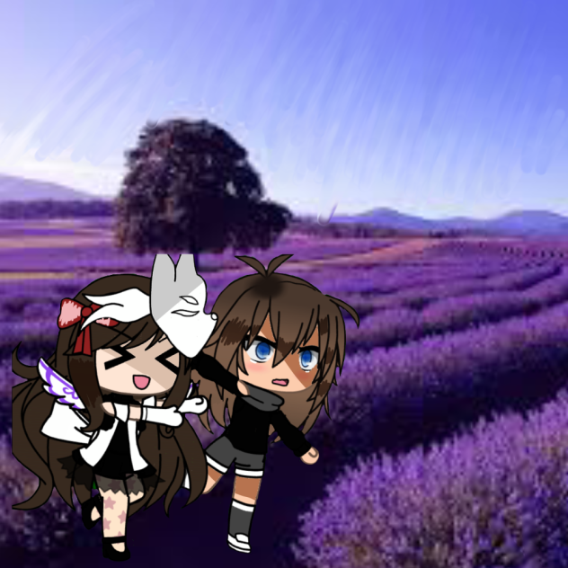 Field of Lavenders for a TikToker