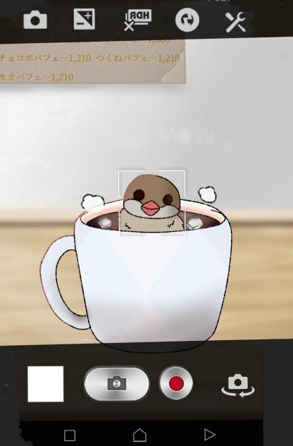 モカココア