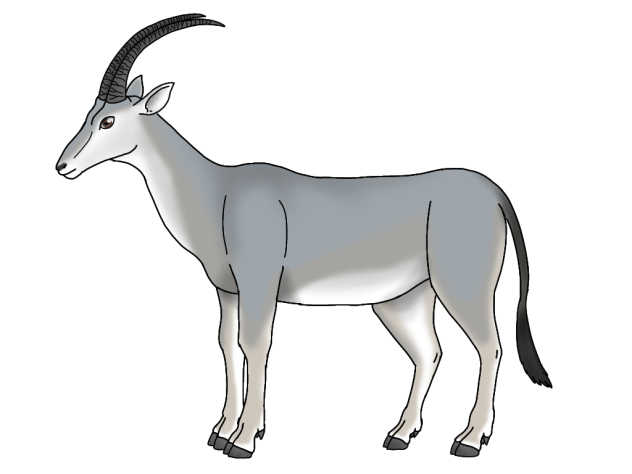 Bluebuck2
