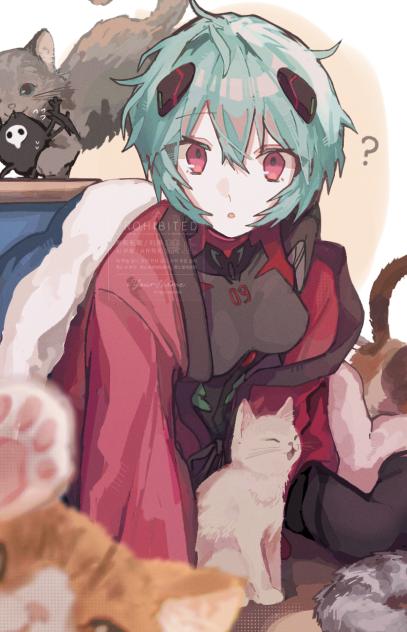 レイちゃん(仮称)とぬこさん達