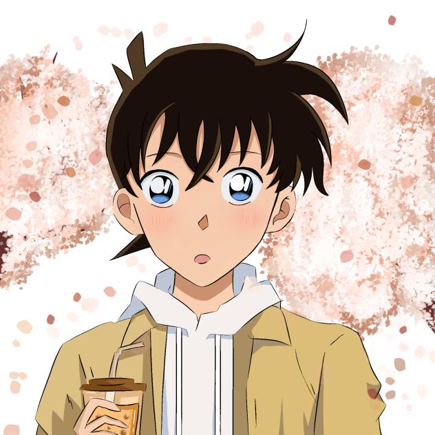 Kudo shinichi 工藤新一
