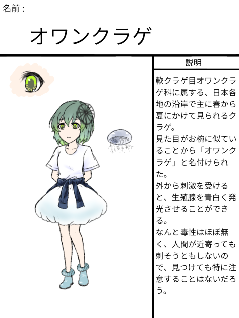 No.6 オワンクラゲ