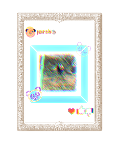 パンダ(￣∀￣)