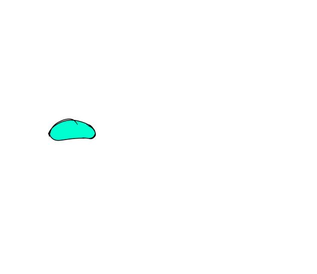 Lazy animation test
