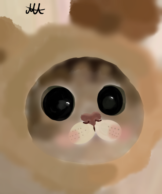 😺💜🐻