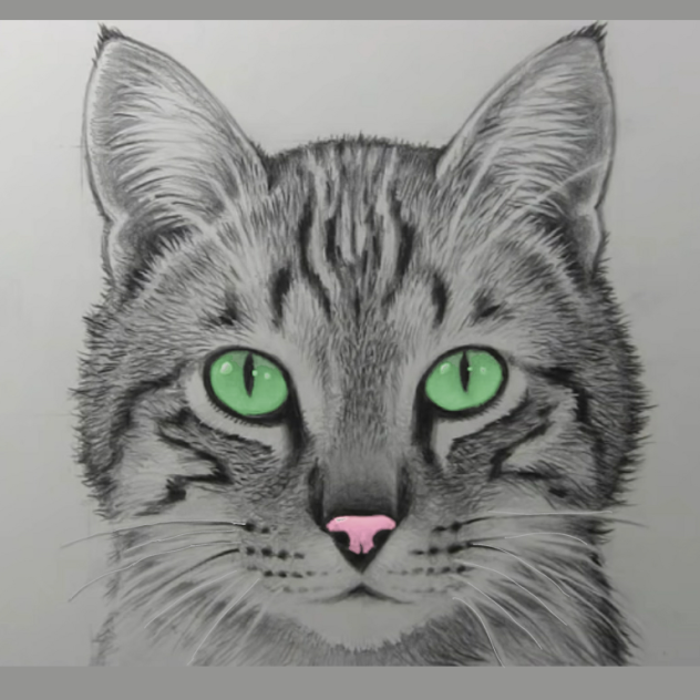 Meow~!