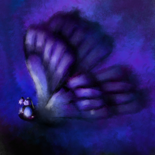 Midnight Butterfly