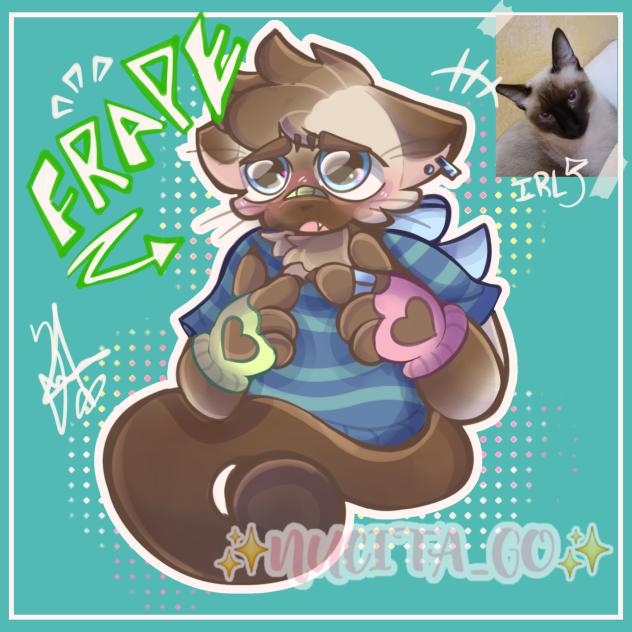 My second cat into a Furry