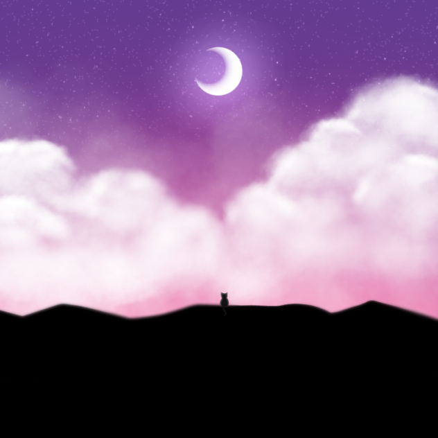 星空と猫