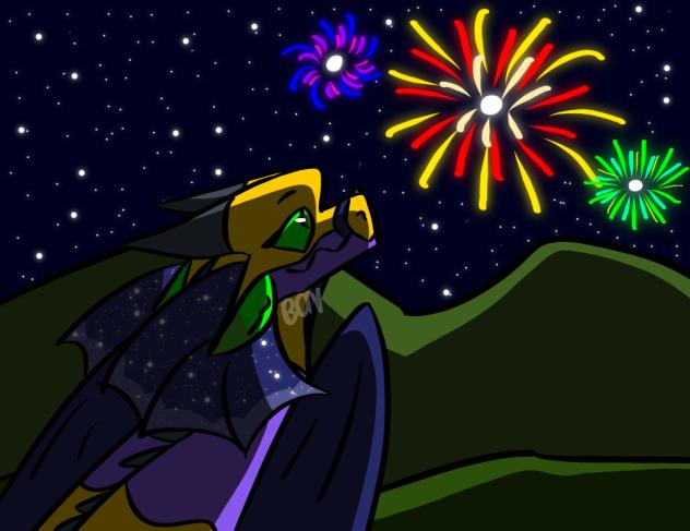 Happy New Year - Wildberry Got Fireworks