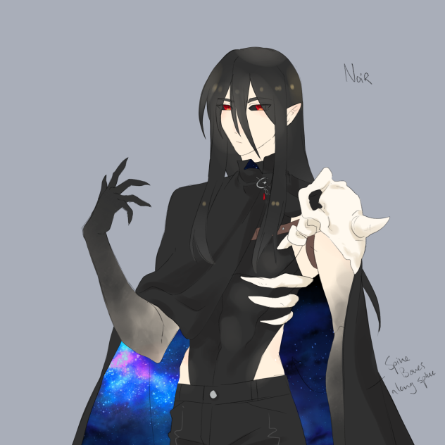 Noir.redraw