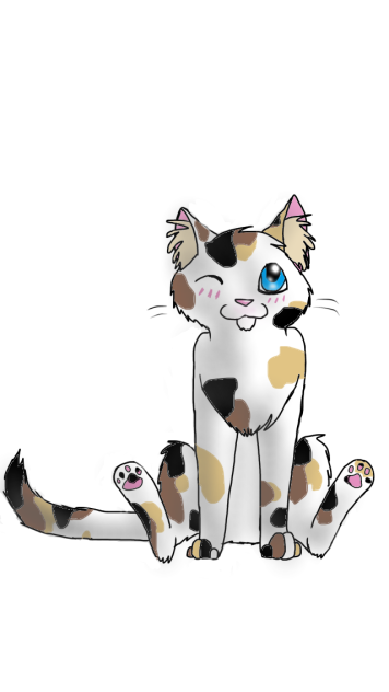 Kawaii Kitty