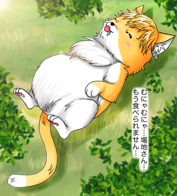 満腹でおひるね中のちふにゃん