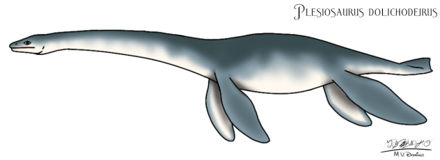 Plesiosaurus dolichodeirus