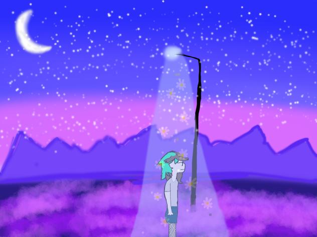 The stars and daisys
