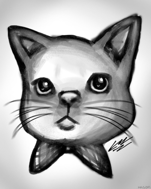 kitty with a bow tie 🎀