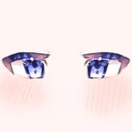 目です　少し修正