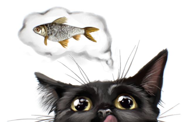 kitty 🐟