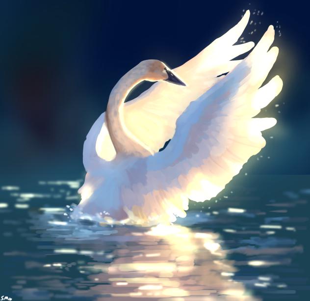 ^ ÷ Swan ÷ ^