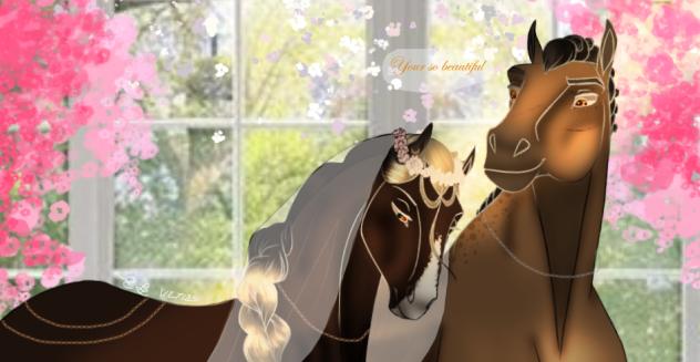 ~ The Wedding ~
