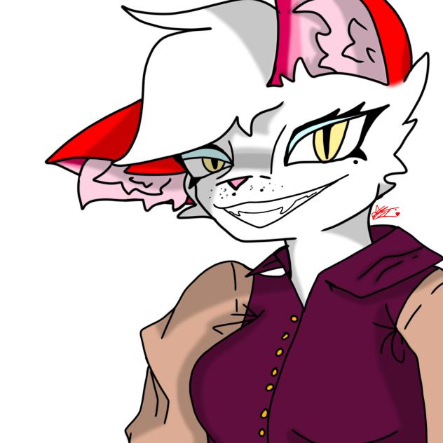 Olivia the cat