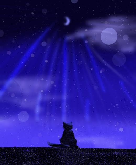 猫の展望台。