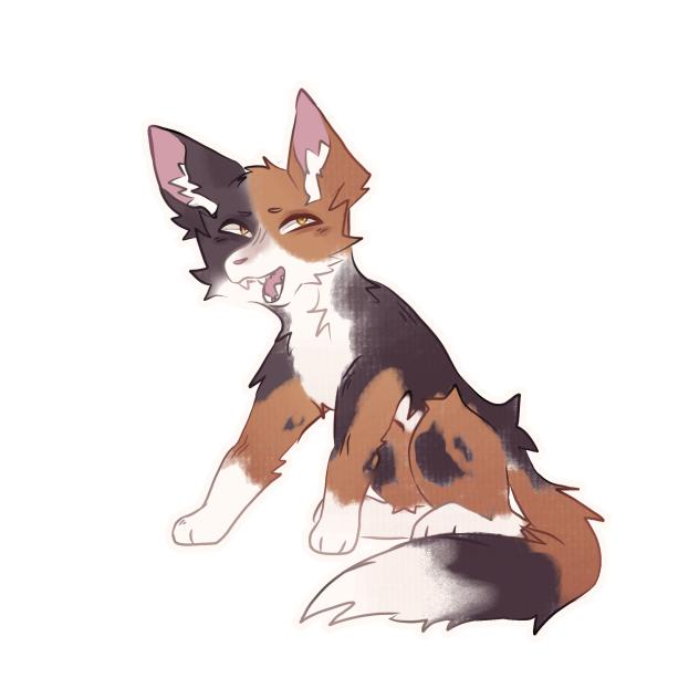 freebie comm 6
