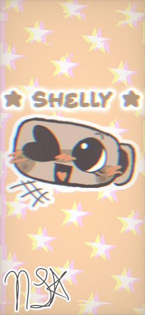 Dandys world shelly