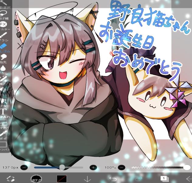 野良猫ちゃんの誕生日