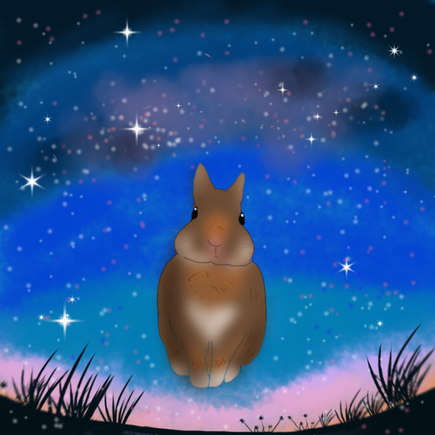 星空のうさぎ