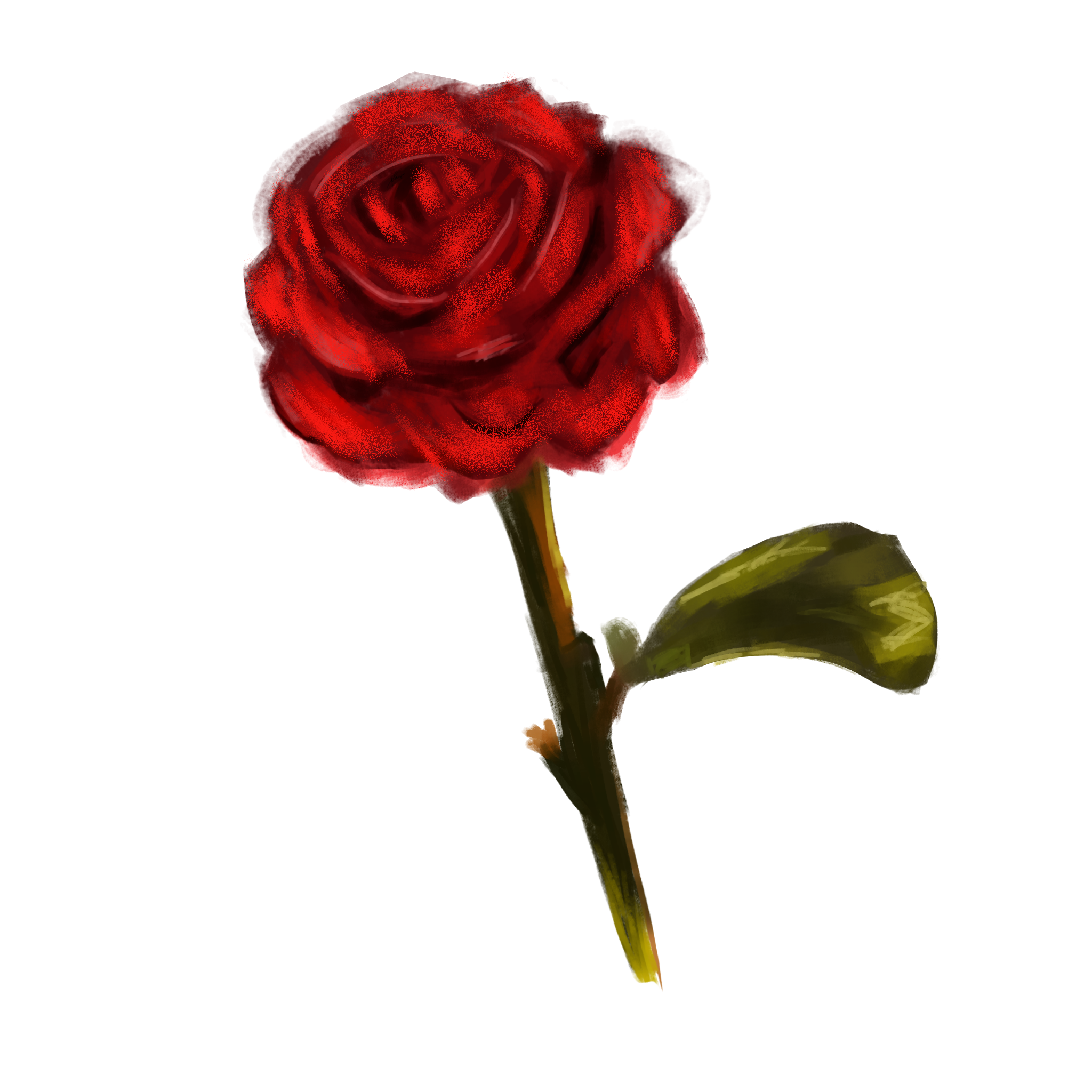 Rose 🌹 - ibisPaint