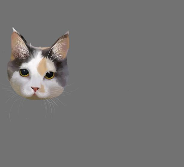 It’s a Cat