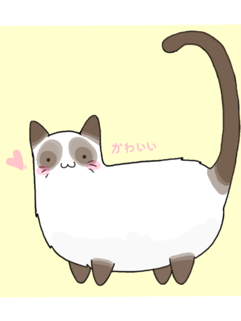 Cute Cat - ibisPaint