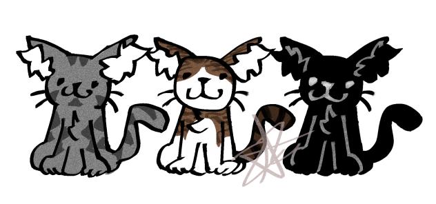 Kittiesss 😼😼😼🥹🥹🥹