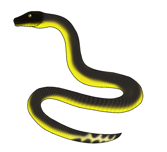 Yellow bellied sea snake