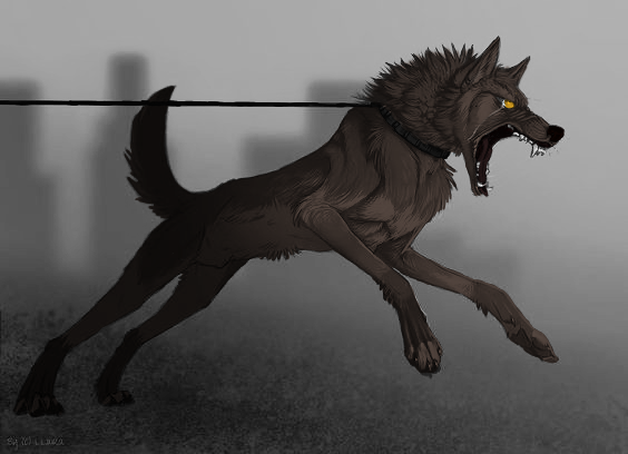 Golden eyed brown dog form