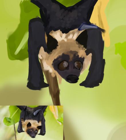 flying fox bat ! ! ! ☆