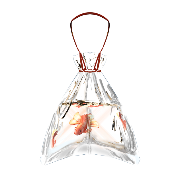 goldfish in plastic bag 2
