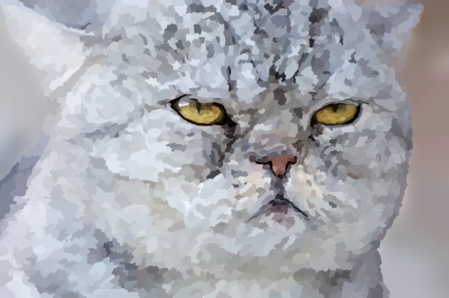 Cat - ibisPaint