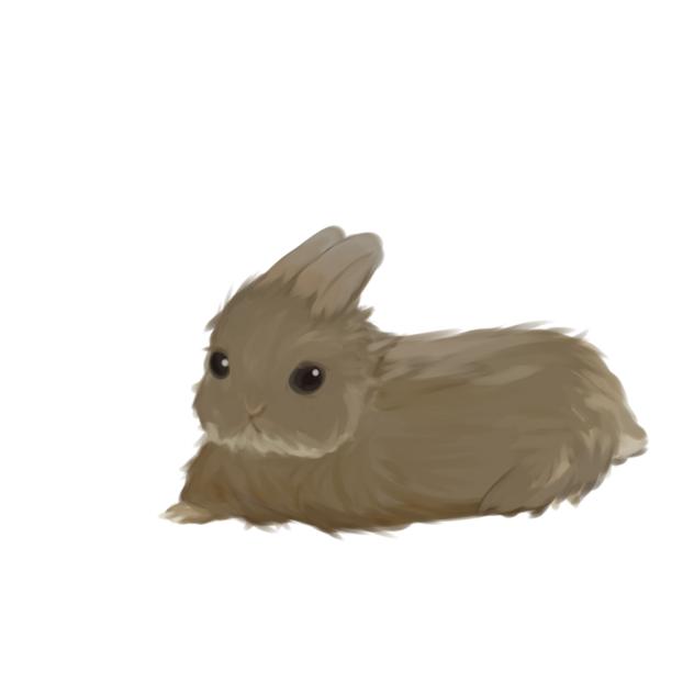 うちのうさ