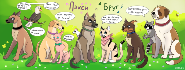Пикси и Брут 🐶🐱