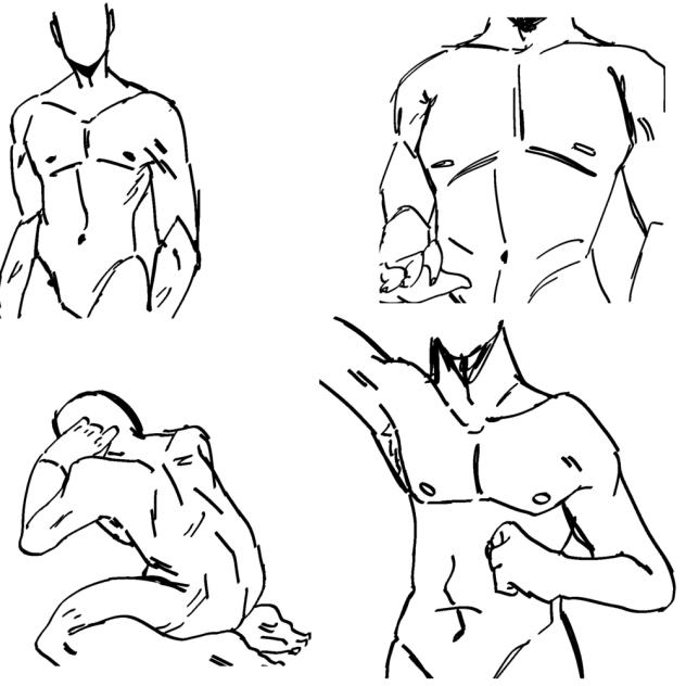 Anatomy practice - ibisPaint