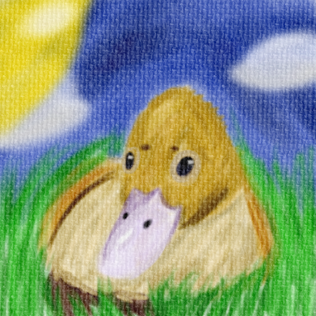 Duckling in a field