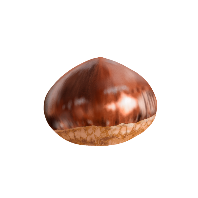 栗
